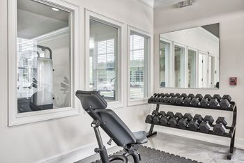 Open air fitness facility with cardio and free weights